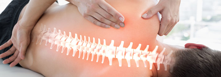 Chiropractic Leland NC Scoliosis A Chiropractic Staple